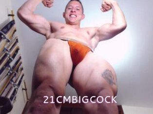 21CMBIGCOCK