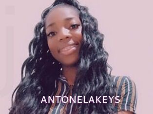 ANTONELAKEYS