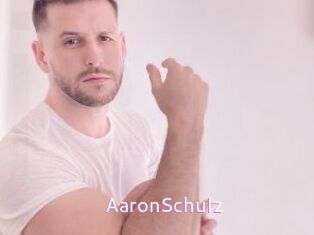 AaronSchulz