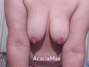 AcaciaMae