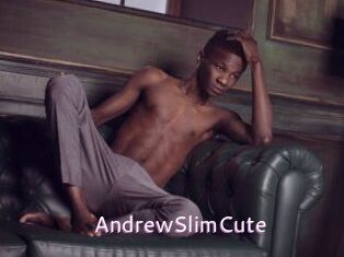 AndrewSlimCute