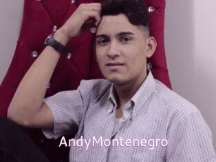 AndyMontenegro