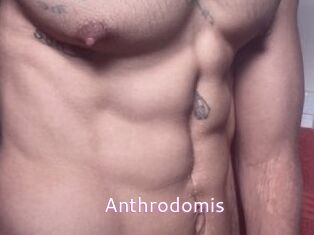 Anthrodomis