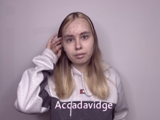 Accadavidge