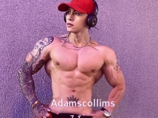 Adamscollims