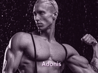 Adonis_