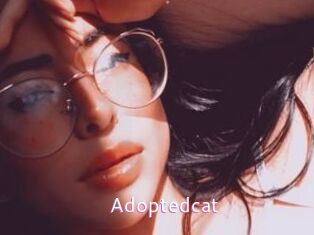 Adoptedcat