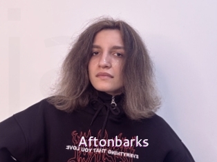 Aftonbarks