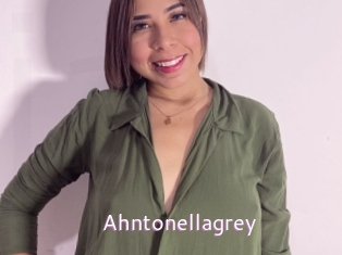 Ahntonellagrey