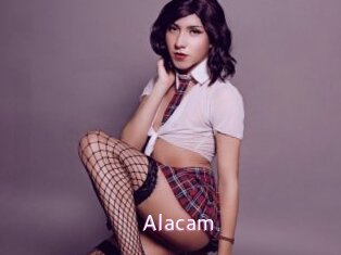 Alacam