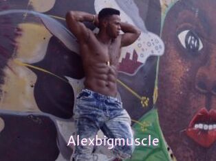 Alexbigmuscle