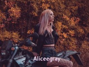 Aliceegray