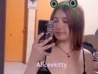 Aliceekitty