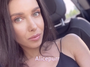 Alicepurr