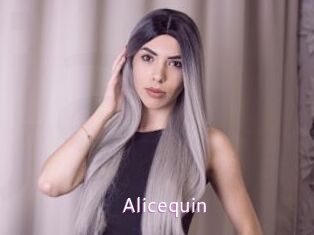 Alicequin