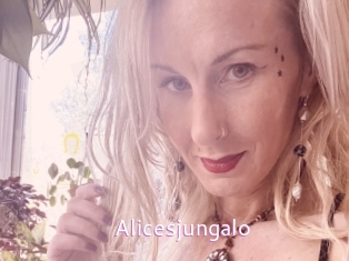 Alicesjungalo