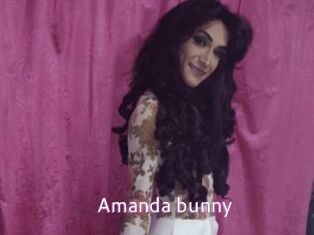 Amanda_bunny