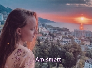 Amismett