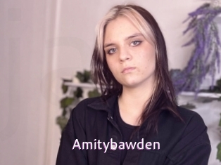 Amitybawden