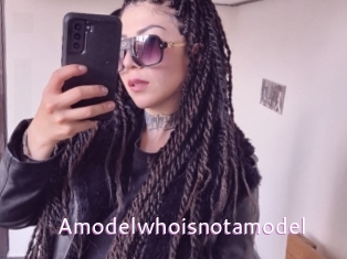 Amodelwhoisnotamodel