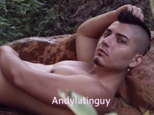 Andylatinguy