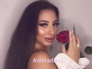 Annitadavid