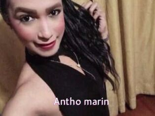 Antho_marin