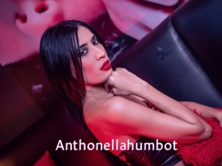 Anthonellahumbot