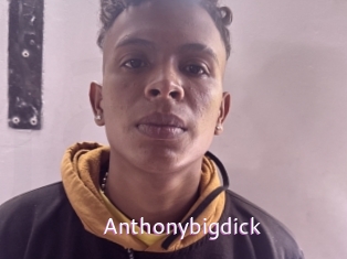 Anthonybigdick