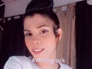 Antobigcock