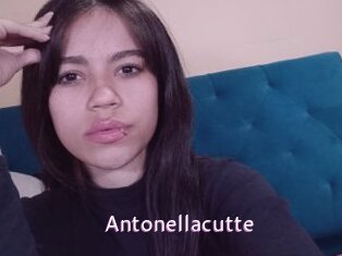 Antonellacutte