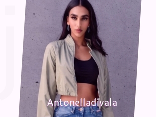 Antonelladivala