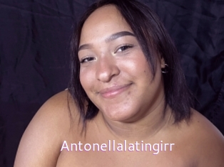 Antonellalatingirr