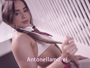 Antonellamorel