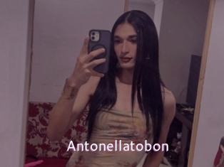 Antonellatobon