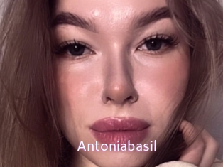 Antoniabasil