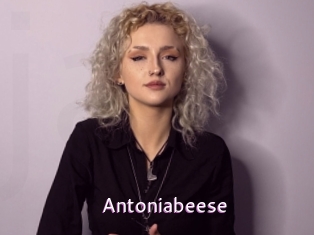 Antoniabeese