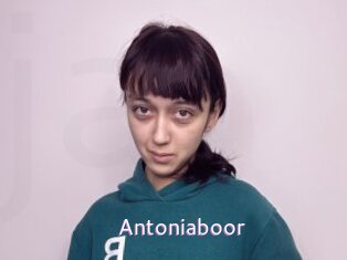 Antoniaboor