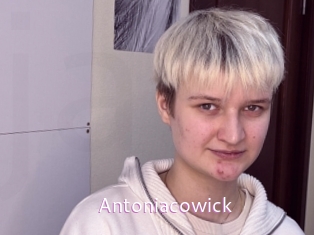 Antoniacowick