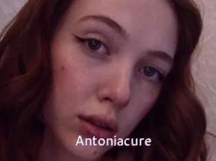 Antoniacure