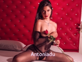 Antoniadu