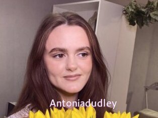 Antoniadudley