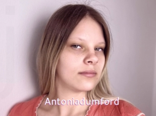 Antoniadumford