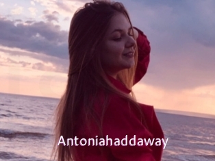 Antoniahaddaway