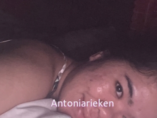 Antoniarieken