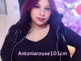 Antoniarouse101cm