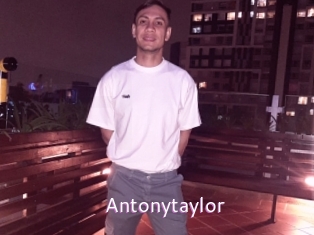 Antonytaylor