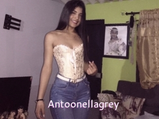 Antoonellagrey