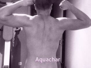 Aquachar