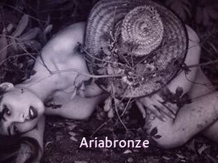 Ariabronze